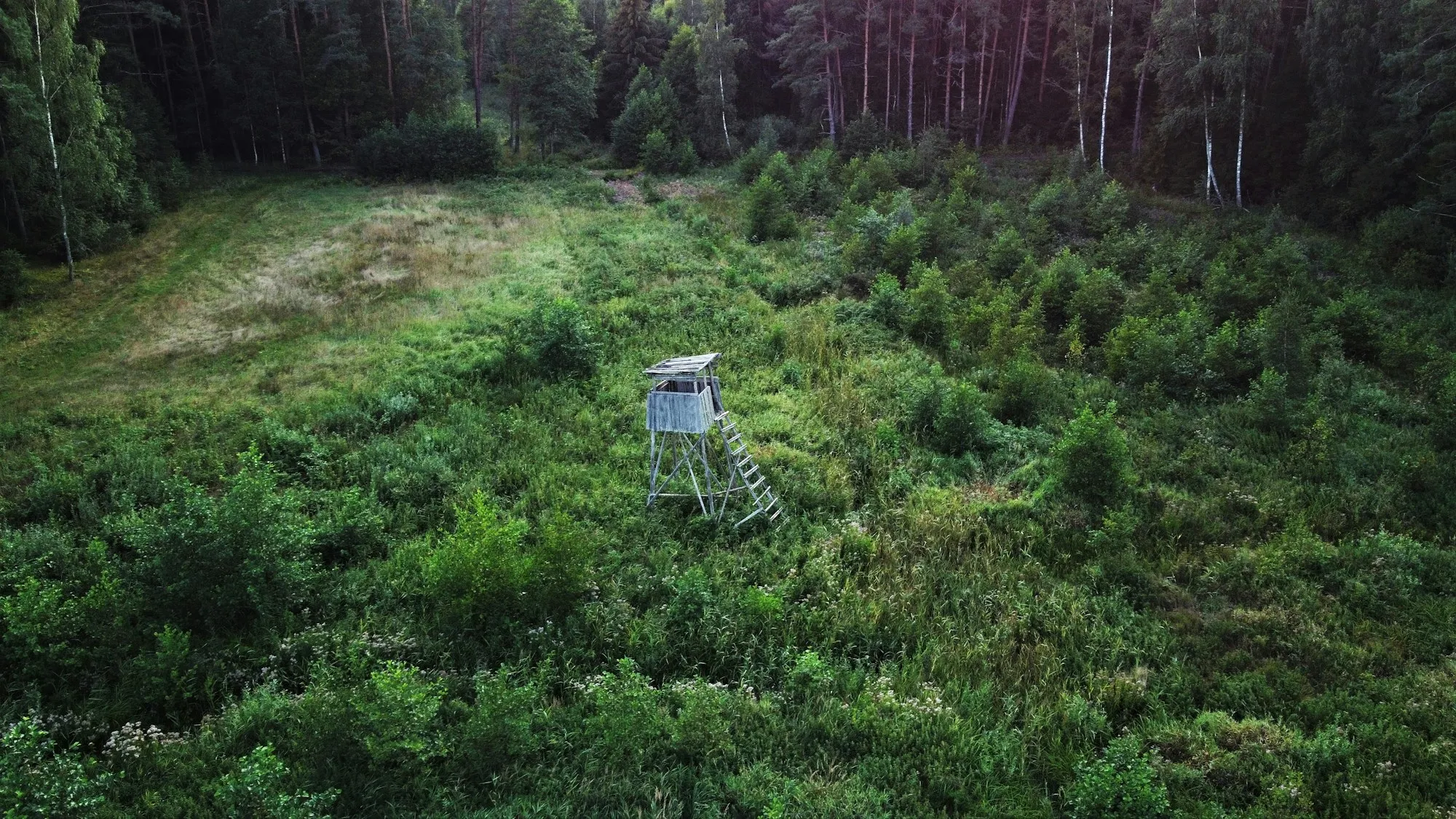 Et skydetårn på en græsklædt lysning omgivet af skov, set fra oven