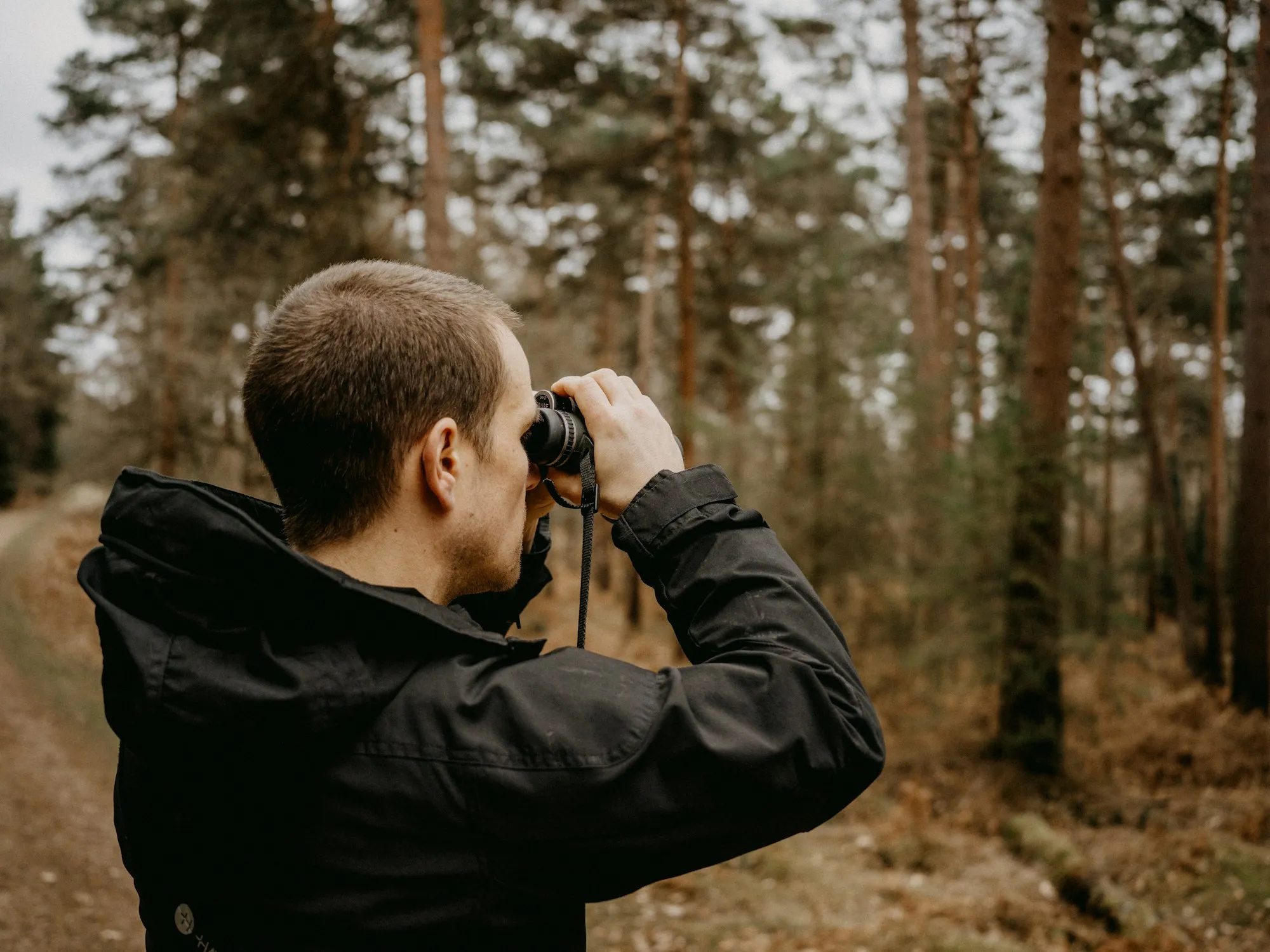 Mand med kikkert spejder ud over en fyrreskov
